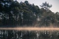 A beautiful swamp pond with a raising mist during the sunrise. Quagmire in a frowen wetlands in autumn. Bright light with sun flar Royalty Free Stock Photo