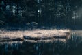 A beautiful swamp pond with a raising mist during the sunrise. Quagmire in a frowen wetlands in autumn. Bright light with sun flar Royalty Free Stock Photo