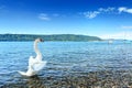 Lake Constance Bodensee