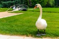 Beautiful swan in the palace park of the Chateau de Vizille with wedding photography session in the background, Vizille, France