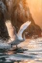 a beautiful big size swan taking off from a lake, ai Royalty Free Stock Photo