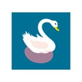 beautiful swan vector illustration on clean white Royalty Free Stock Photo