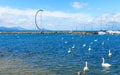 Beautiful swans on the lake Leman and part of port Ouchi Royalty Free Stock Photo