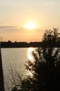 Beautiful swans on the lake at sunset in the czech republic Royalty Free Stock Photo