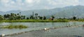 Beautiful swat valley Pakistan mountains with green trees and grass water stream,natural landscape Royalty Free Stock Photo