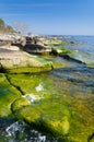 Beautiful Swedish green coast