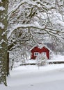 Beautiful Swedish winter