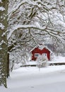 Beautiful Swedish winter Royalty Free Stock Photo