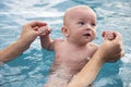 Beautiful, sweet baby boy swimming in the swimming pool holding fathers hands. Royalty Free Stock Photo