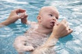 Beautiful, sweet baby boy swimming in the swimming pool holding fathers hands. Royalty Free Stock Photo