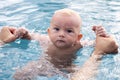 Beautiful, sweet baby boy swimming in the swimming pool holding fathers hands. Royalty Free Stock Photo