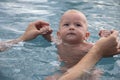 Beautiful, sweet baby boy swimming in the swimming pool holding fathers hands. Royalty Free Stock Photo