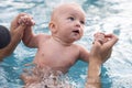 Beautiful, sweet baby boy swimming in the swimming pool holding fathers hands. Royalty Free Stock Photo