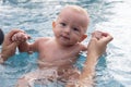 Beautiful, sweet baby boy swimming in the swimming pool holding fathers hands. Royalty Free Stock Photo