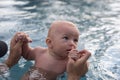 Beautiful, sweet baby boy swimming in the swimming pool holding fathers hands. Royalty Free Stock Photo