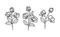 Beautiful sweet pea flowers with leaves set, line art plant branches icons. Garden summer blossom