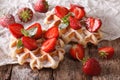 Beautiful sweet waffles with strawberries, powdered sugar. horizontal Royalty Free Stock Photo