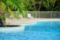 Beautiful swimming pool with clear blue water and green palm tree. Sunny summer day Royalty Free Stock Photo