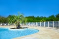 Beautiful swimming pool with clear blue water and green palm tree. Sunny summer day with blue sky Royalty Free Stock Photo