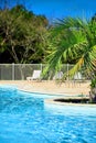 Beautiful swimming pool with clear blue water and green palm tree. Sunny summer day Royalty Free Stock Photo