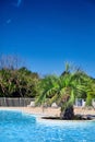 Beautiful swimming pool with clear blue water and green palm tree. Sunny summer day Royalty Free Stock Photo