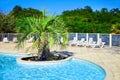 Beautiful swimming pool with clear blue water and green palm tree. Sunny summer day Royalty Free Stock Photo