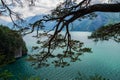 Beautiful swiss alpine landscape with lake Lucerne Royalty Free Stock Photo