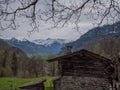 Beautiful Swiss Landscapes with Snow Alps green grass Royalty Free Stock Photo