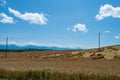 Beautiful Swiss scenery of a cornfield with power line and view to the Alps.