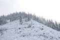 Beautiful taiga hills on Far East of Russia in early october. Taiga in winter. Beautiful nature. Frosty weather