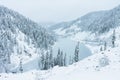 Beautiful taiga hills on Far East of Russia in early october. Taiga in winter. Beautiful nature. Snowy weather. Royalty Free Stock Photo