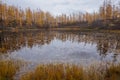 A beautiful taiga lake among the larch trees