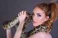 Beautiful, Tall, Slim, Busty Redhead Model in a sexy, black, mesh Dress, posing with a Snake Royalty Free Stock Photo