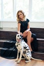 Beautiful tall girl in black dress with dog Dalmatian in studio