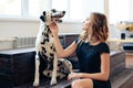 Beautiful tall girl in black dress with dog Dalmatian in studio