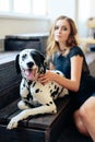 Beautiful tall girl in black dress with dog Dalmatian in studio