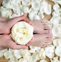 Beautiful tanned hands and feet in spa with rose petals around