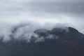 Beautiful Tasmanian Forest Mountain Landscape Royalty Free Stock Photo