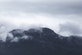 Beautiful Tasmanian Forest Mountain Landscape Royalty Free Stock Photo