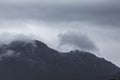 Beautiful Tasmanian Forest Mountain Landscape Royalty Free Stock Photo