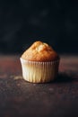 Beautiful tasty muffin on a dark background Royalty Free Stock Photo