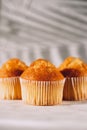 Beautiful tasty muffin on a white background Royalty Free Stock Photo