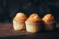 Beautiful tasty muffins on a dark background Royalty Free Stock Photo