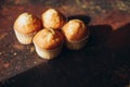 Beautiful tasty muffins on a dark background Royalty Free Stock Photo