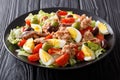 Beautiful tasty traditional nicoise salad with fish tuna and anchovies closeup on a plate. horizontal