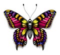 Beautiful tattoo for your chest.Colorful Machaon butterfly.Tropical realistic butterfly with shadow.Symbol of femininity Royalty Free Stock Photo