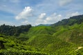 Tea farm scenery under cloudy sky at Cameron Highland, Malaysia