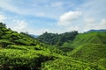 Tea farm scenery under cloudy sky at Cameron Highland, Malaysia