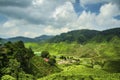 Tea farm scenery under cloudy sky at Cameron Highland, Malaysia