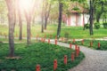 Tea house in Japanese garden at spring morning Royalty Free Stock Photo